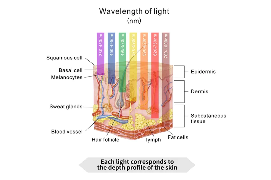 Effective-Performance-with-Right-Wavelength