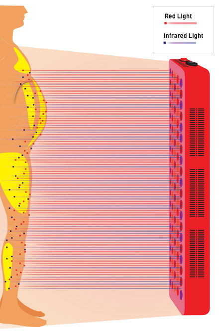 light therapy body fat bodylight