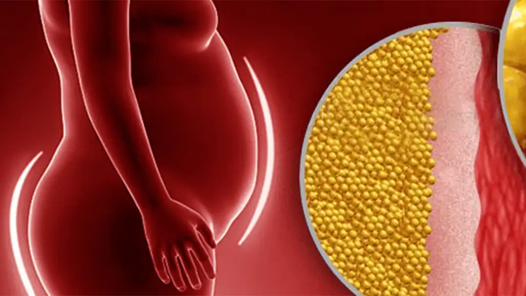 Wie funktioniert die Rotlichttherapie zur Gewichtsreduktion?