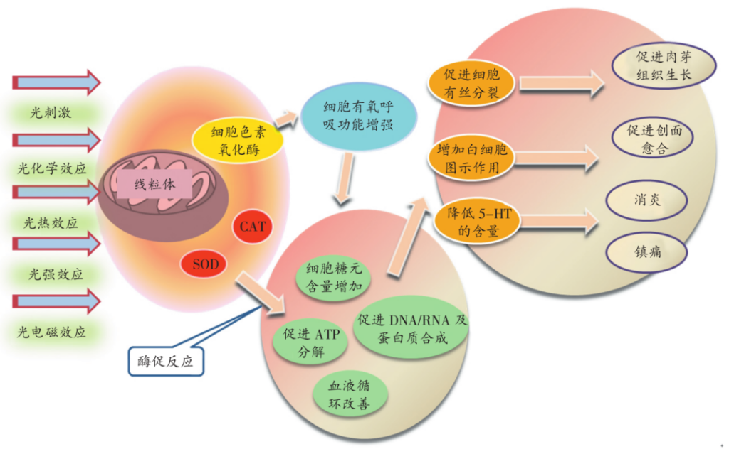 Research Report Chart3