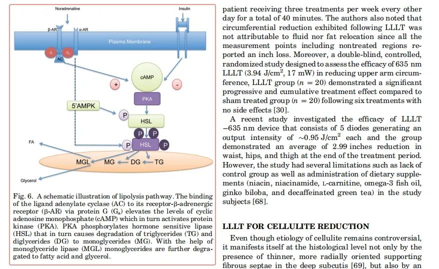 red light therapy post 2