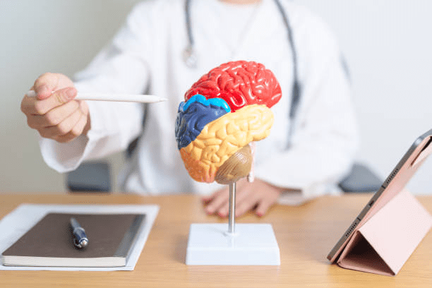 red light therapy brain health