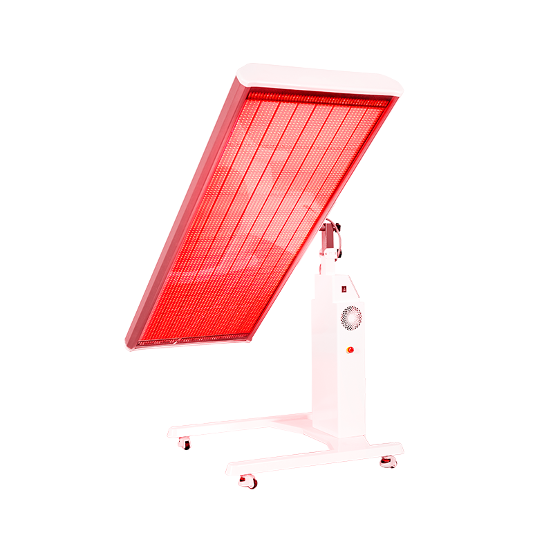 b7617f0b 2c20 4e83 9720 586dbce90b5c